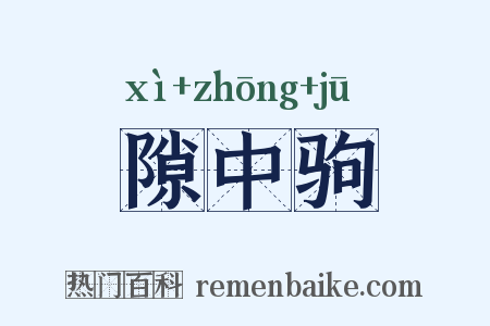 隙中驹是什么意思的图片